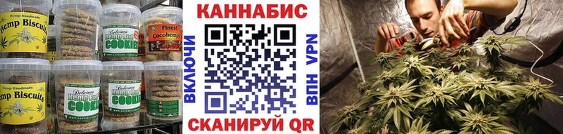 Canna-Cookies конопля  продажа наркотиков  Озёрск 