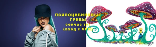 мдпв Вяземский
