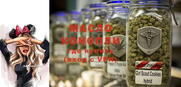 мдпв Вяземский
