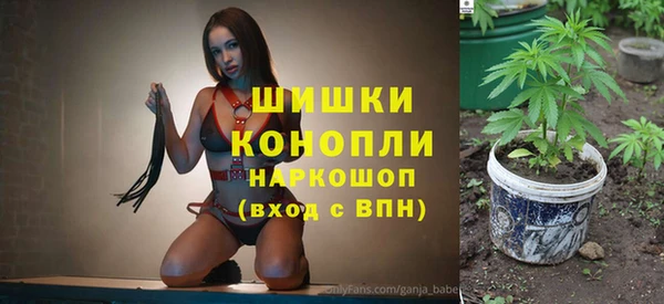 мдпв Вяземский