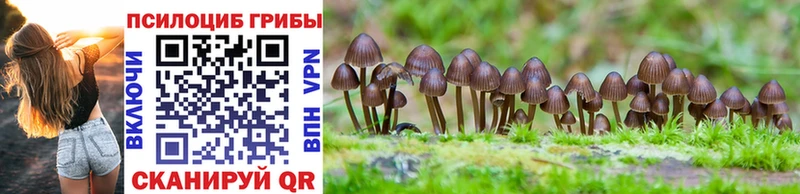 Галлюциногенные грибы MAGIC MUSHROOMS  что такое наркотик  Озёрск 